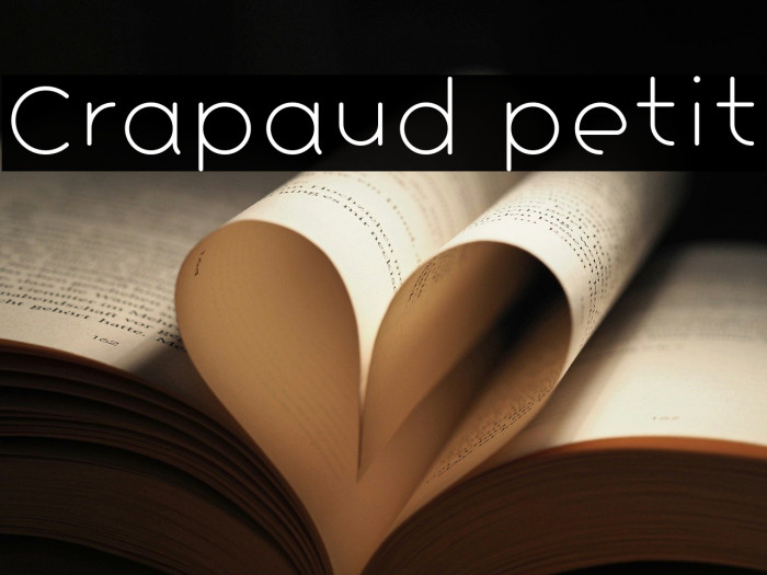 Crapaud petit Example 3