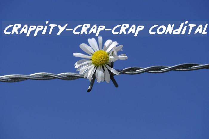 Crappity-Crap-Crap CondItal Fuentes examples