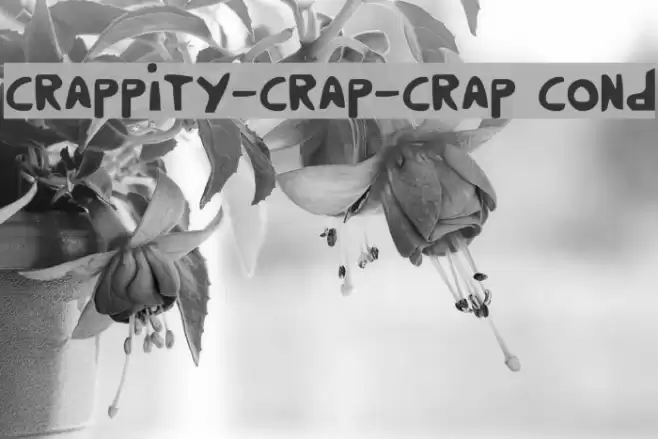 Crappity-Crap-Crap Cond Fuentes examples
