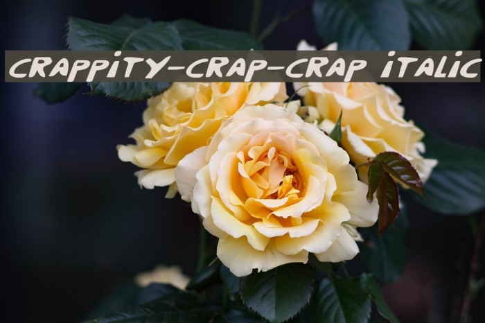 Crappity-Crap-Crap Italic Font examples