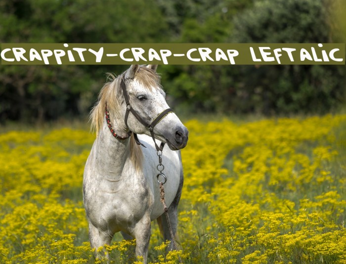 Crappity-Crap-Crap Leftalic Font examples
