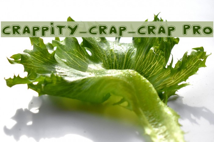 Crappity-Crap-Crap Pro Font examples