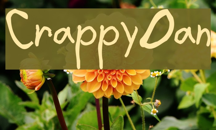CrappyDan Font examples