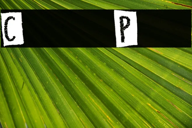 Craps of Paper Example 1