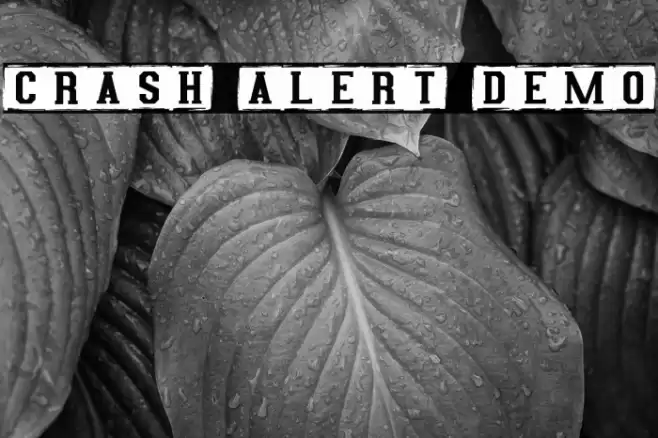 Crash Alert Demo Шрифта examples