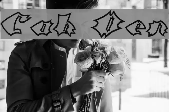 Crash Open Шрифта examples