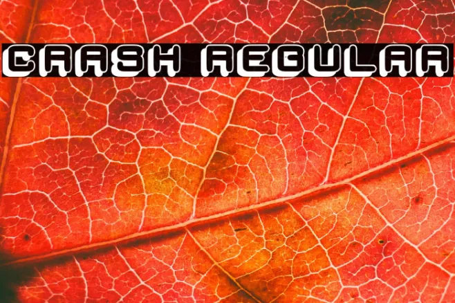 Crash Regular Example 1