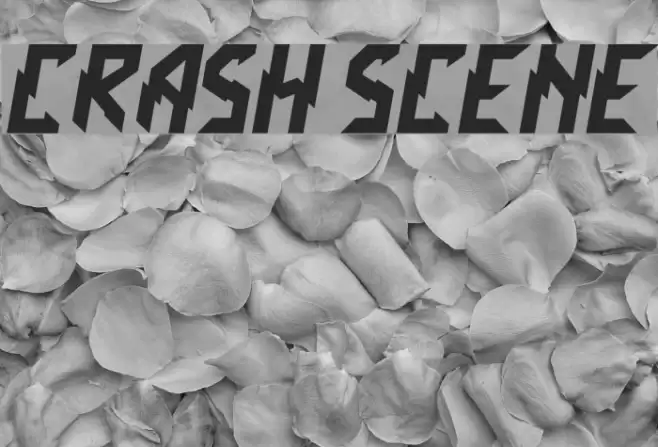 Crash Scene Font examples