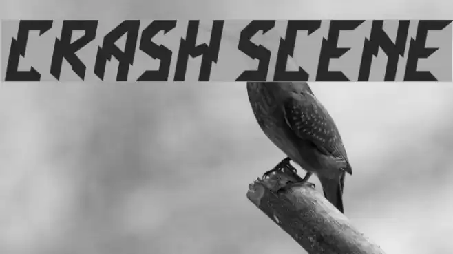 Crash Scene Font examples