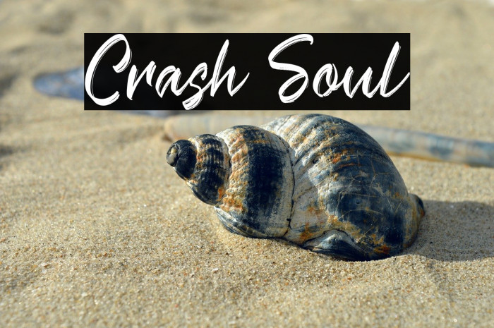 Crash Soul Example 1