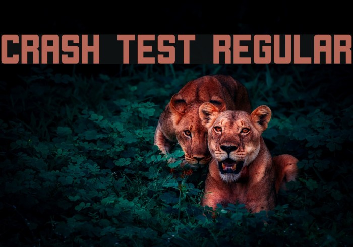 Crash Test Regular Font examples