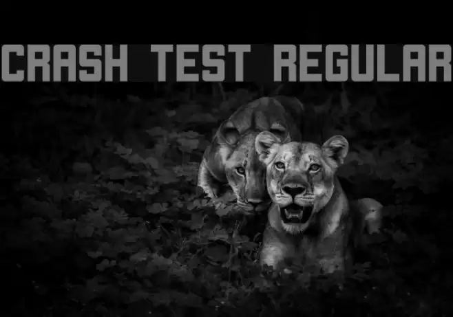 Crash Test Regular Font examples