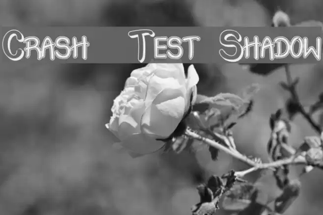 Crash  Test Shadow Font examples