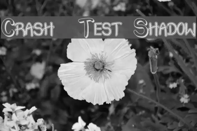 Crash  Test Shadow Font examples