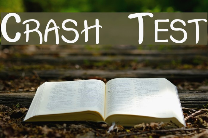 Crash Test Font examples