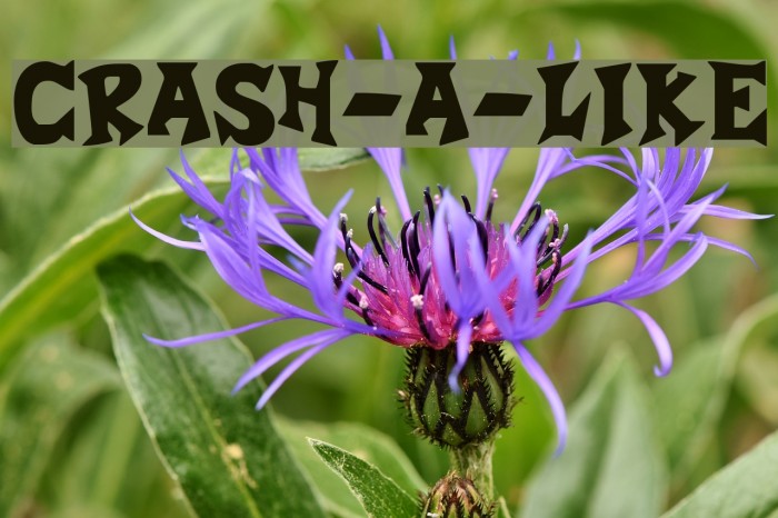 Crash-a-Like Font examples