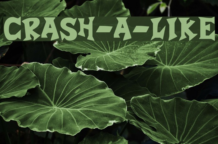 Crash-a-Like Font examples