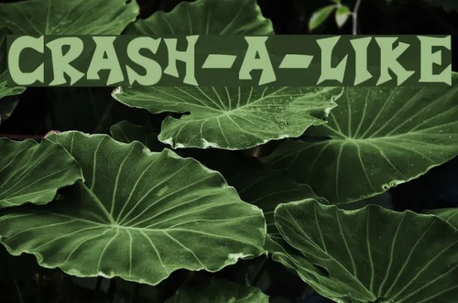 Crash-a-Like Example 2