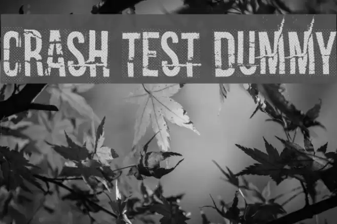 Crash test dummy Font examples