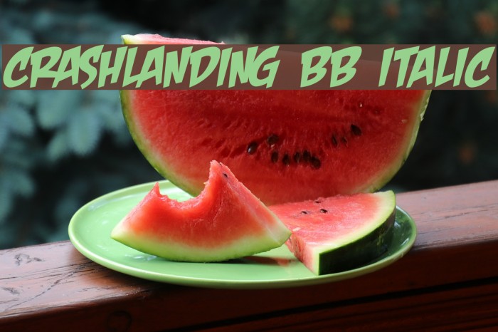 CrashLanding BB Italic Font examples