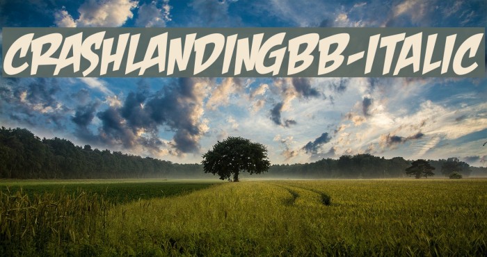 CrashLandingBB-Italic Example 1