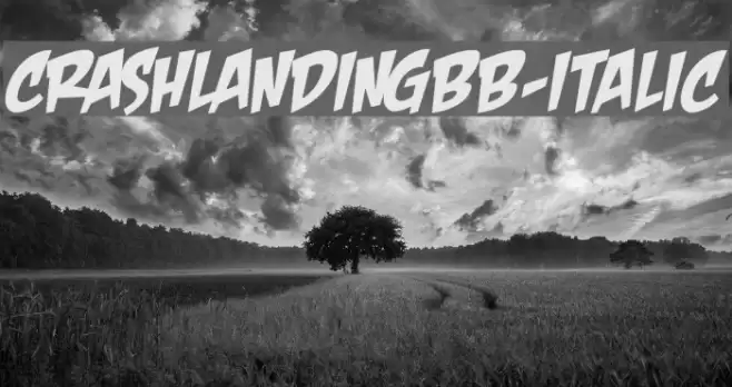 CrashLandingBB-Italic Font examples