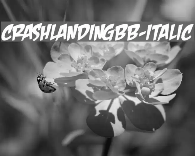 CrashLandingBB-Italic Font examples