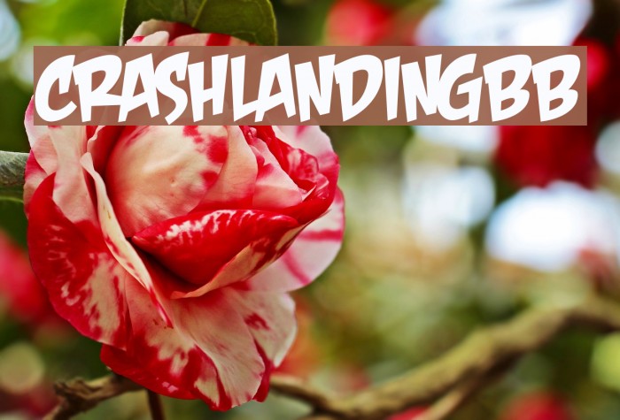 CrashLandingBB Font examples