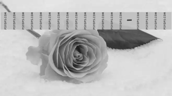 CrashNumbering-Serif Font examples