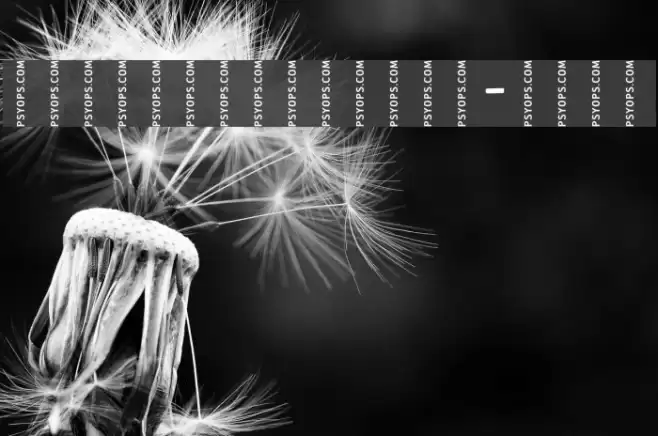 CrashNumbering-Serif Font examples