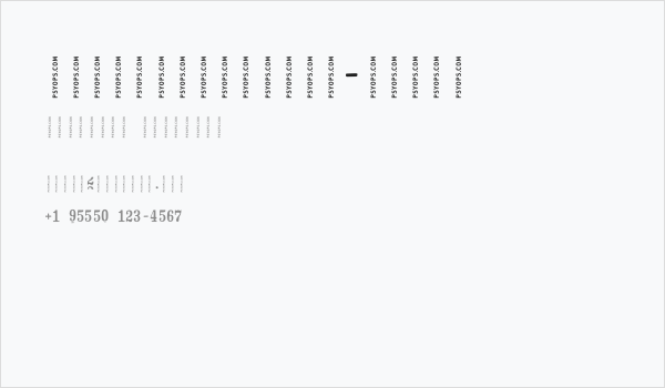 CrashNumbering-Serif Business Card