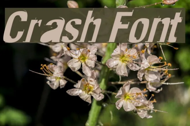 Crash Example 1