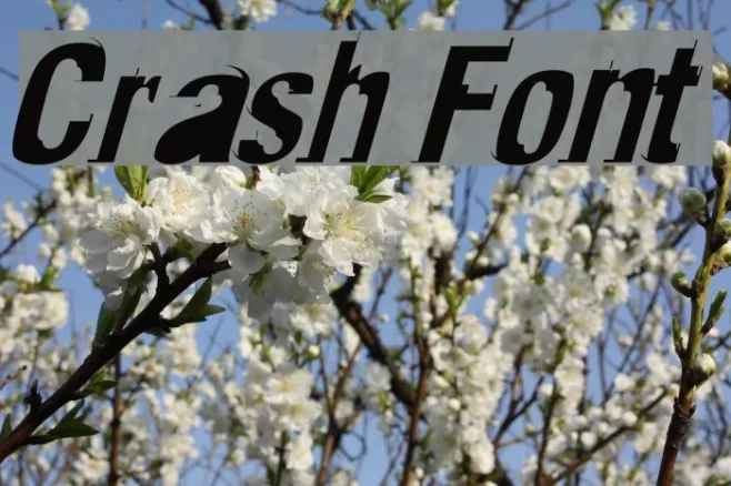 Crash Example 2