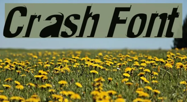 Crash Example 3