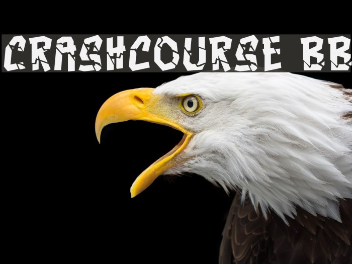 Crashcourse BB Font examples