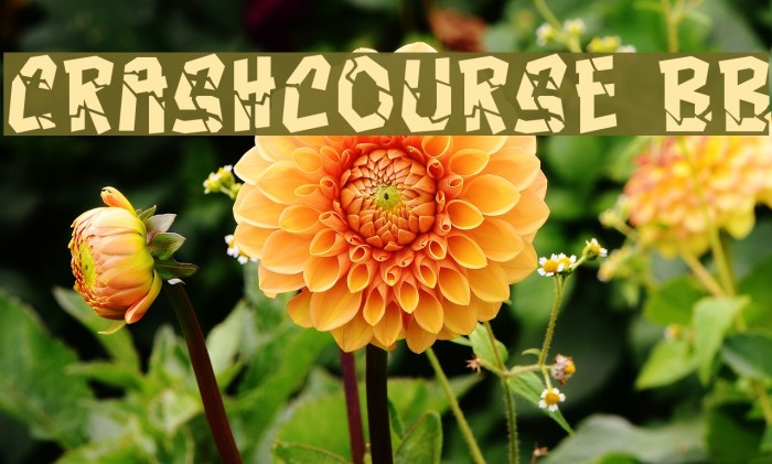 Crashcourse BB Font examples