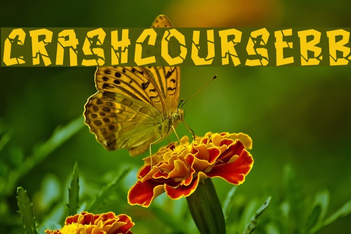 CrashcourseBB Font examples