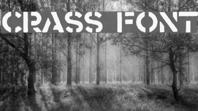 Crass Шрифта examples