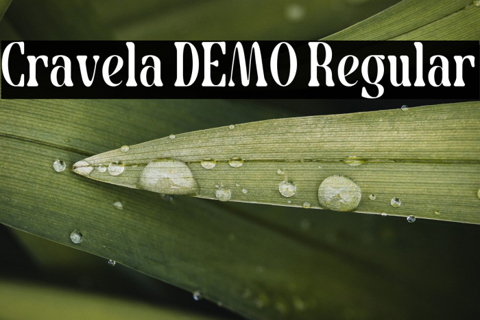 Cravela DEMO Regular Example 1