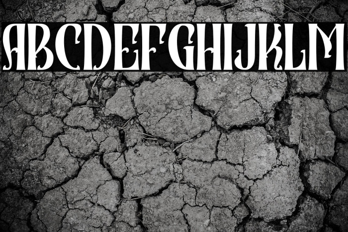 Cravery Personal Use Example 2