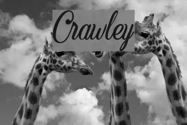 Crawley Font examples