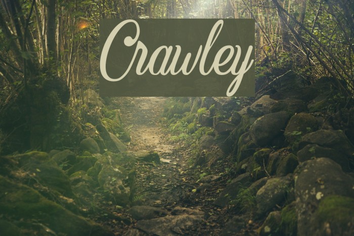 Crawley Example 3