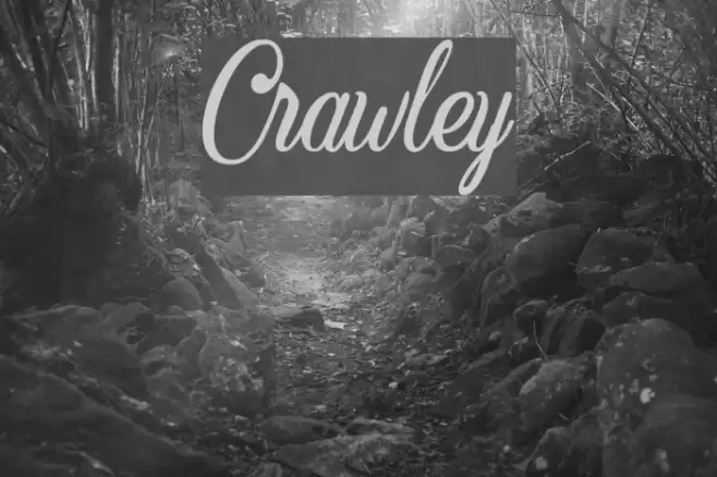 Crawley Font examples