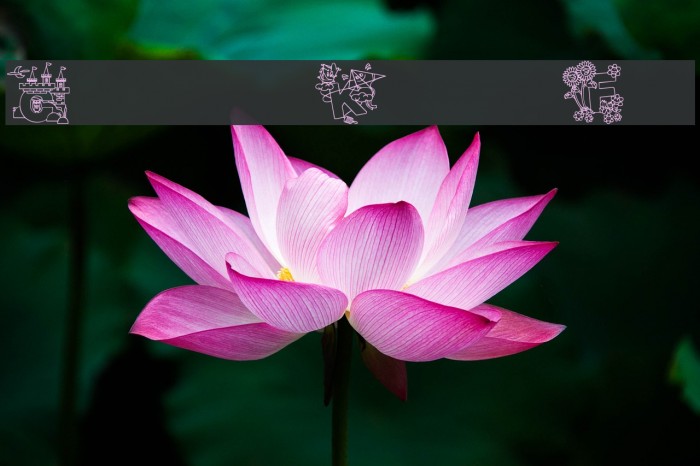 Crayola Kiddy Font Example 1