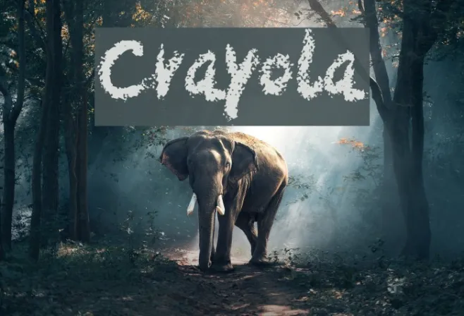 Crayola Example 1