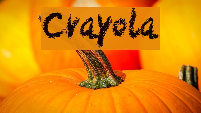 Crayola Font examples
