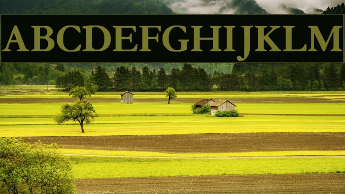 Crayomonde Example 1