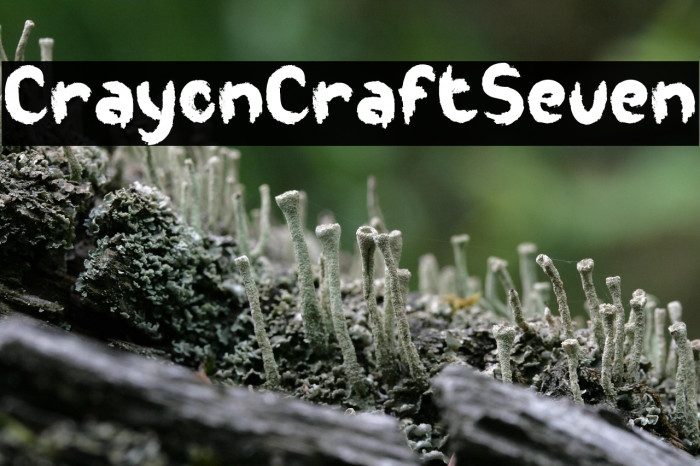 Crayon Craft Seven Example 3