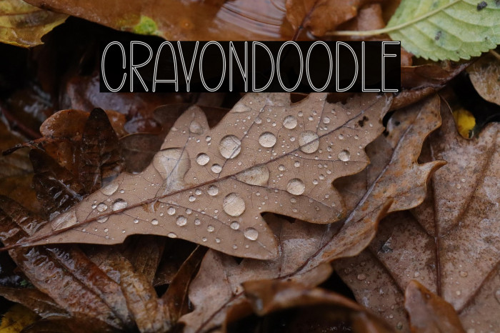 Crayon Doodle Example 1