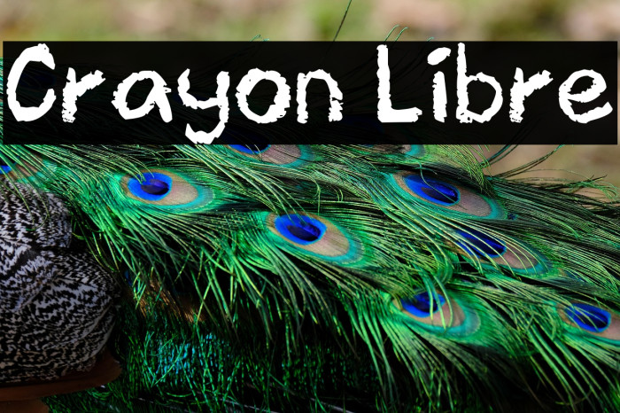 Crayon Libre Example 2